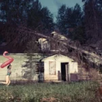 Child playing in front of a house crushed by a falling tree