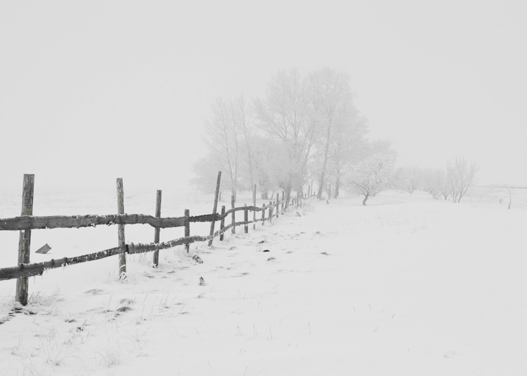 Snow field with fence and trees in the background
