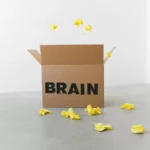 Brain inscription on box under flying paper pieces