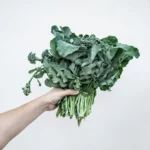 Person holding kale