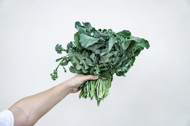 Guide: The Myths of Healthy Eating